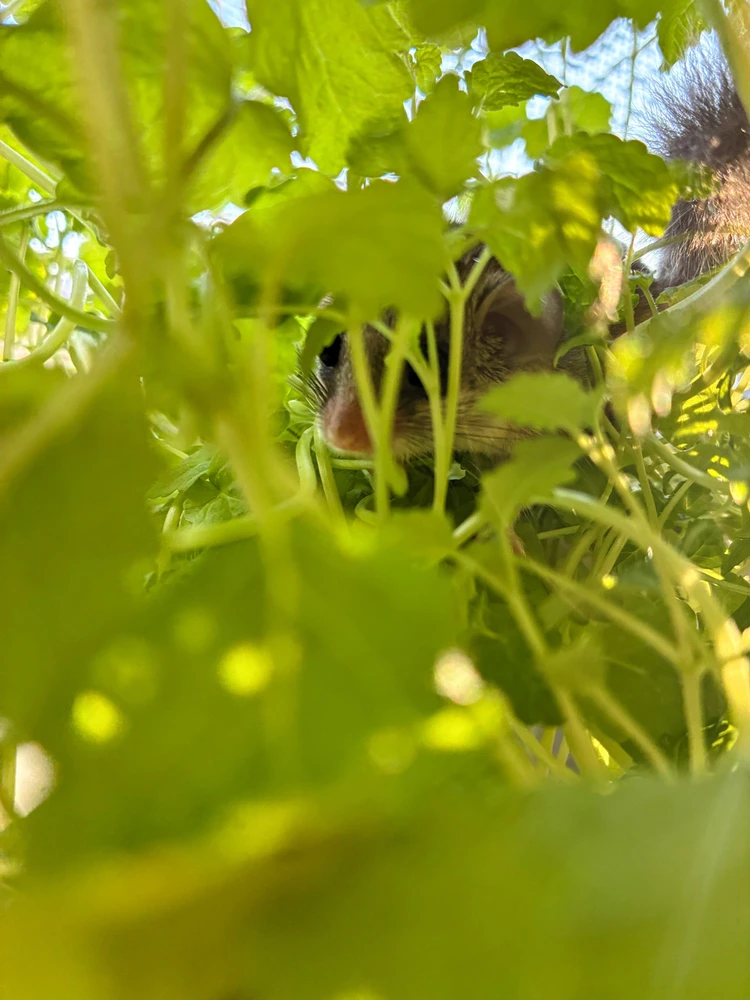 Obrázek nahrál Jan