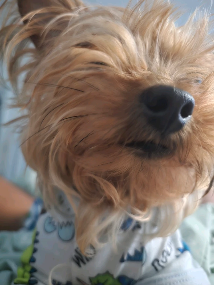 GIF uploaded by 《🌹.::Lenöré::.🌹》