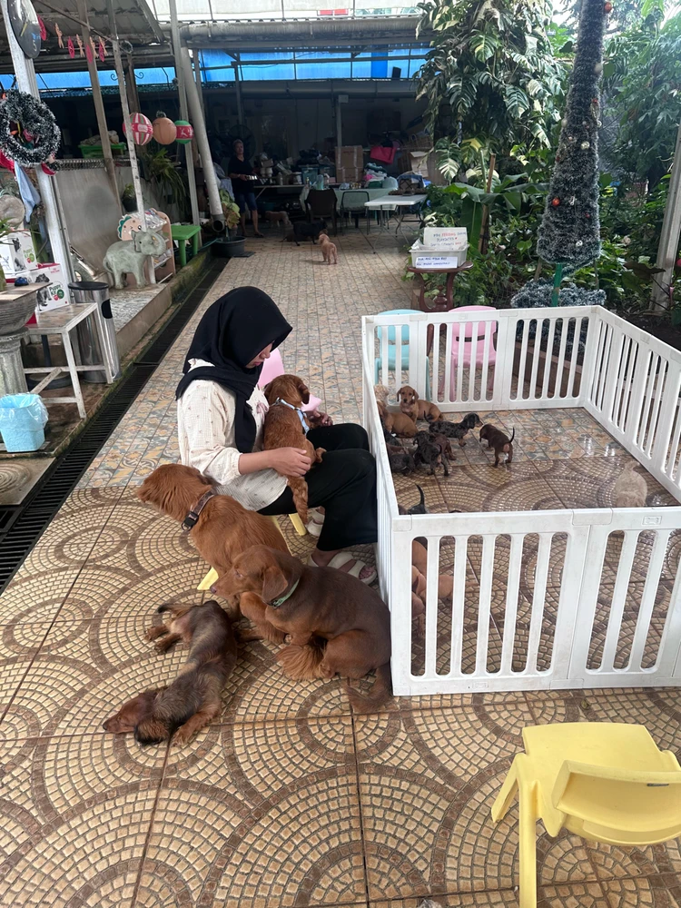 Image uploaded by Dyah N