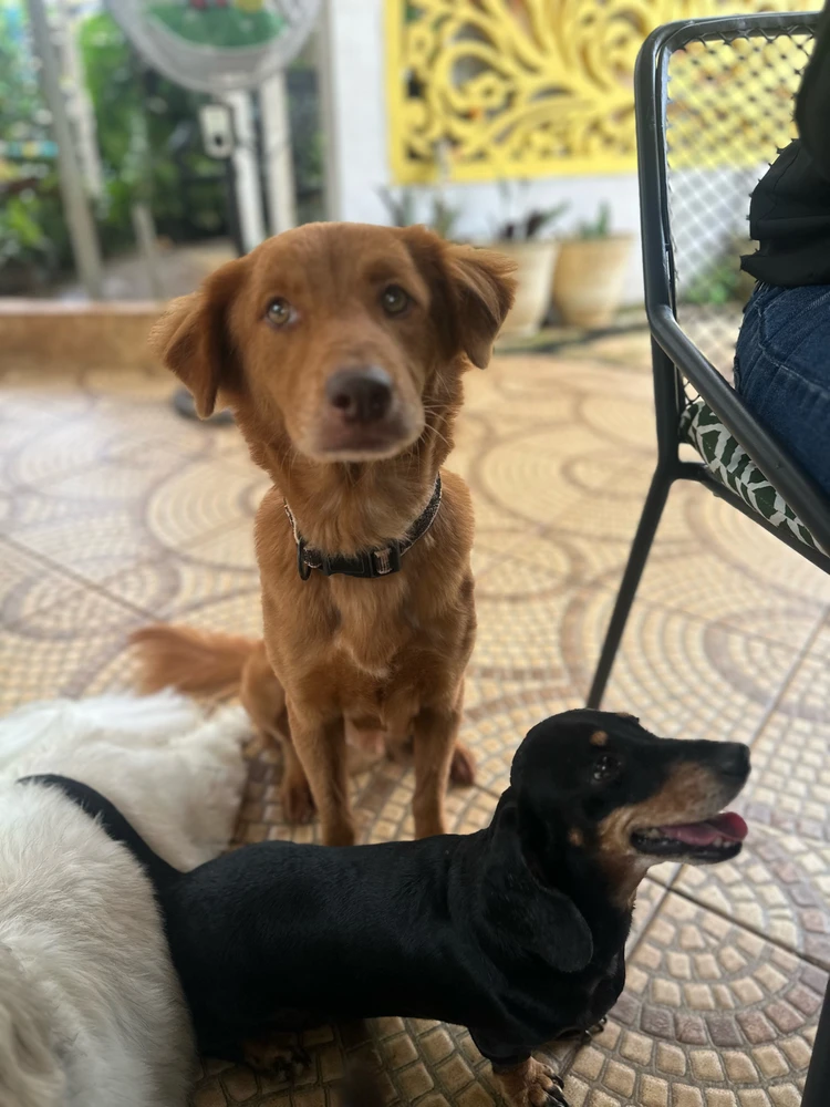 Image uploaded by Dyah N