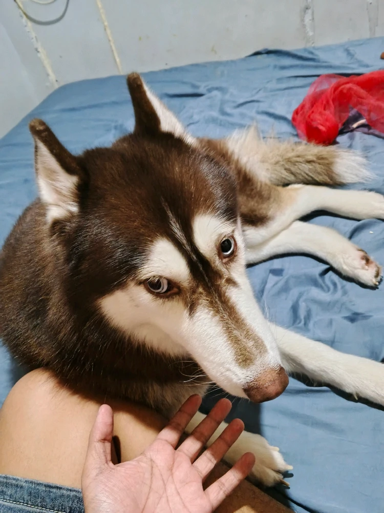 GIF uploaded by Ralph Laurence