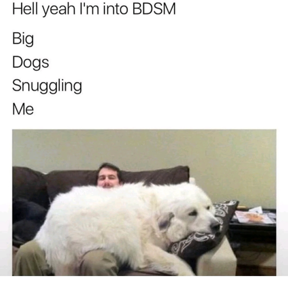 GIF uploaded by Martin