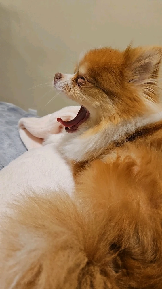 GIF uploaded by Sierra