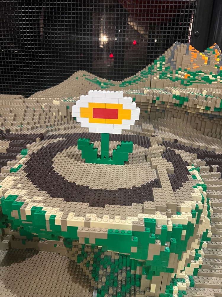 Image uploaded by Sean