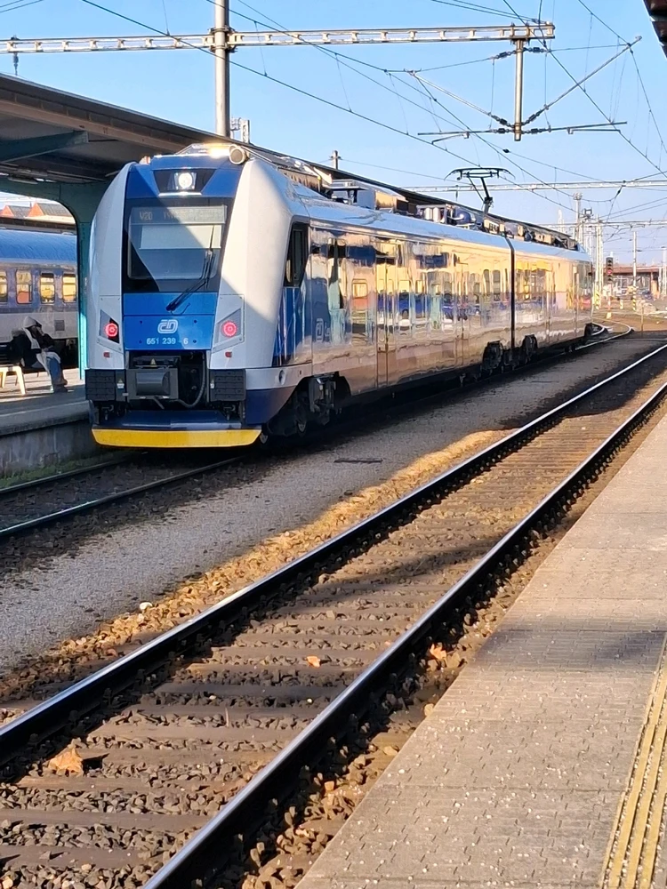 Obrázek nahrál Vydlák z Maloměsta