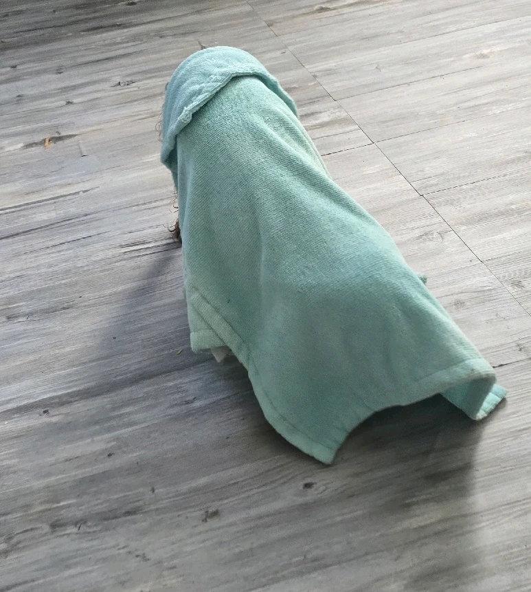 Image uploaded by 《🌹.::Lenöré::.🌹》