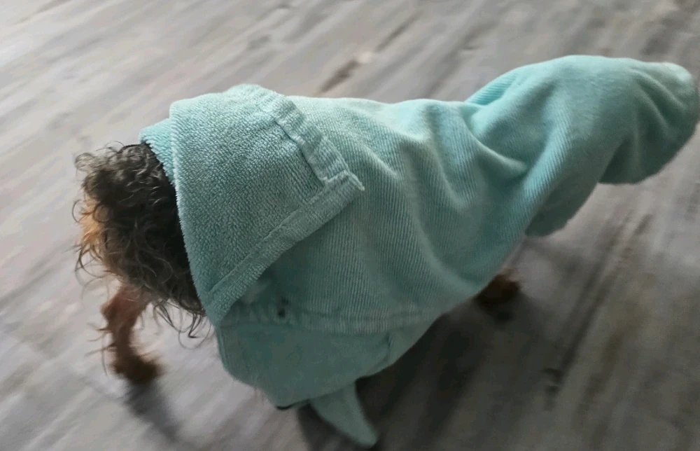 Image uploaded by 《🌹.::Lenöré::.🌹》