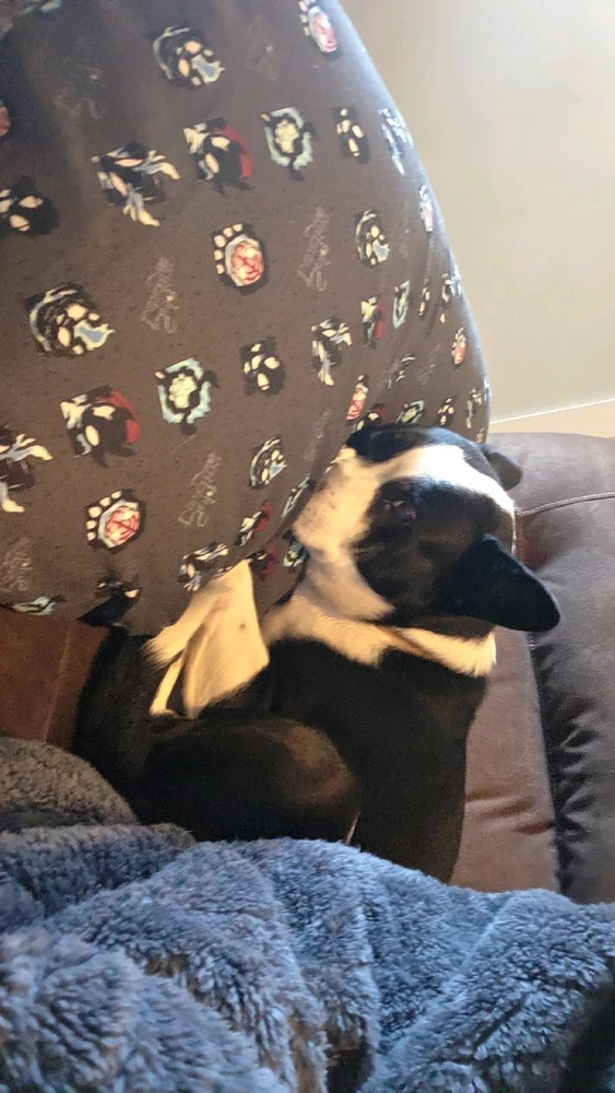 Image uploaded by Alex Baker