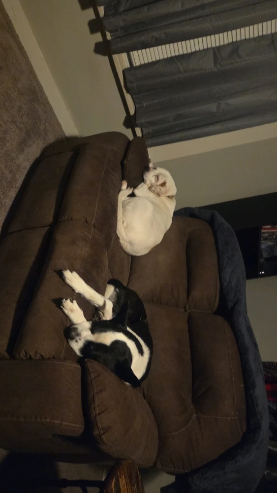 Image uploaded by Alex Baker