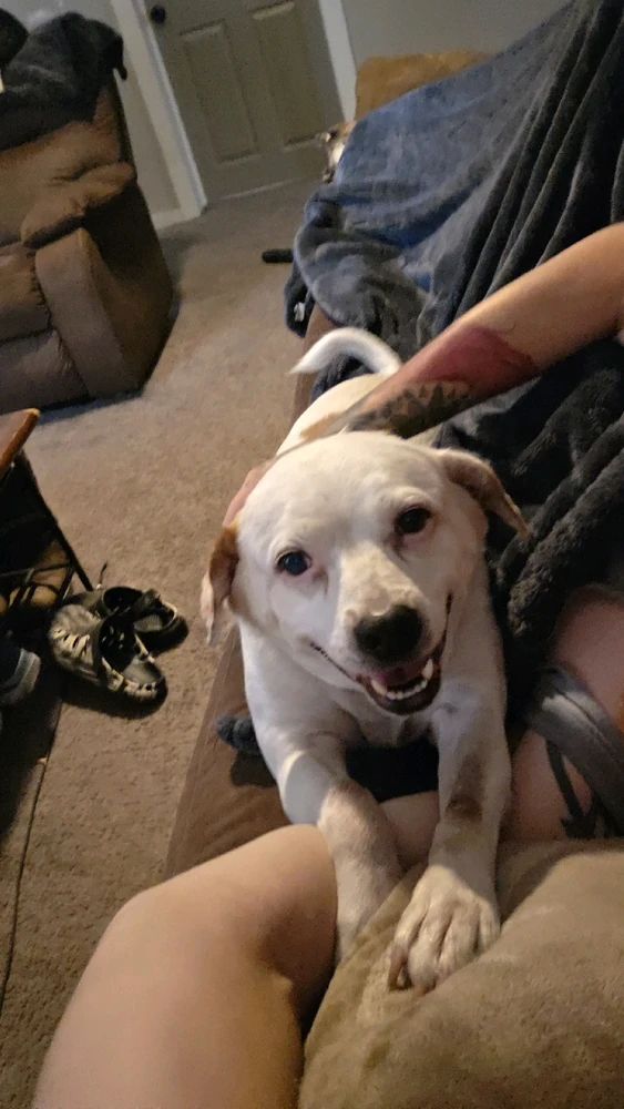 Image uploaded by Alex Baker