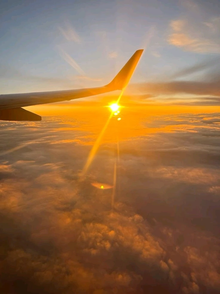 Image uploaded by Krishna