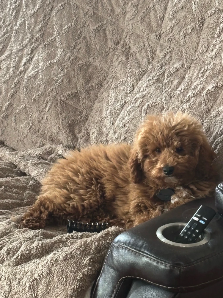 Image uploaded by Floridei