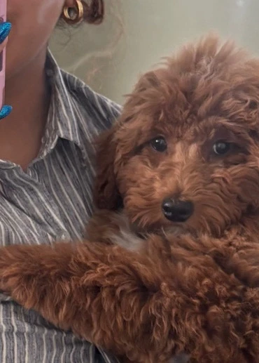 Image uploaded by Floridei