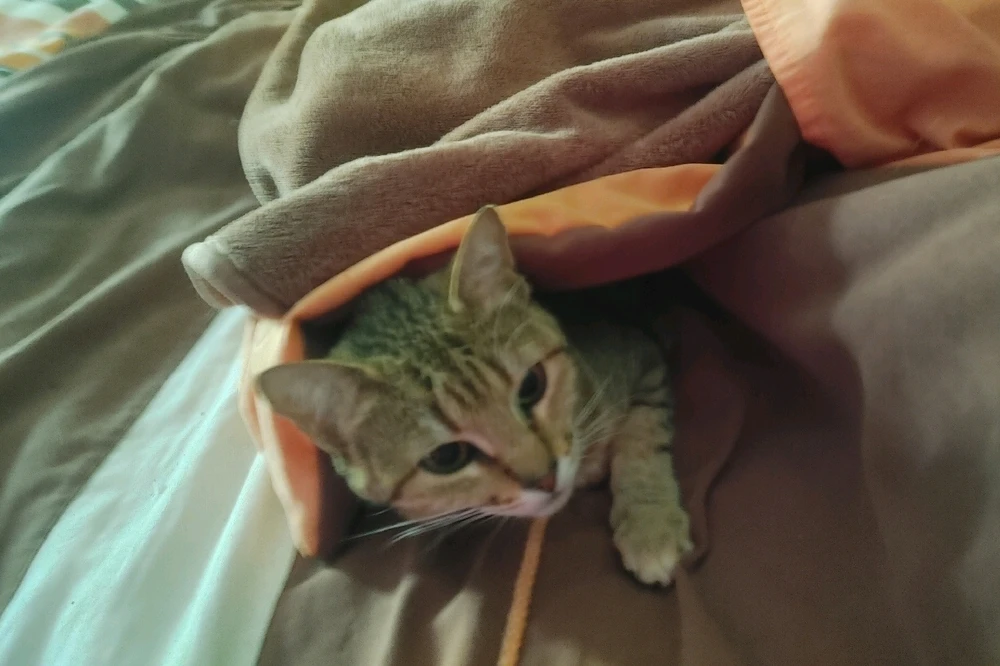 Image uploaded by ❤ Sophia aka Mango Mami ❤️