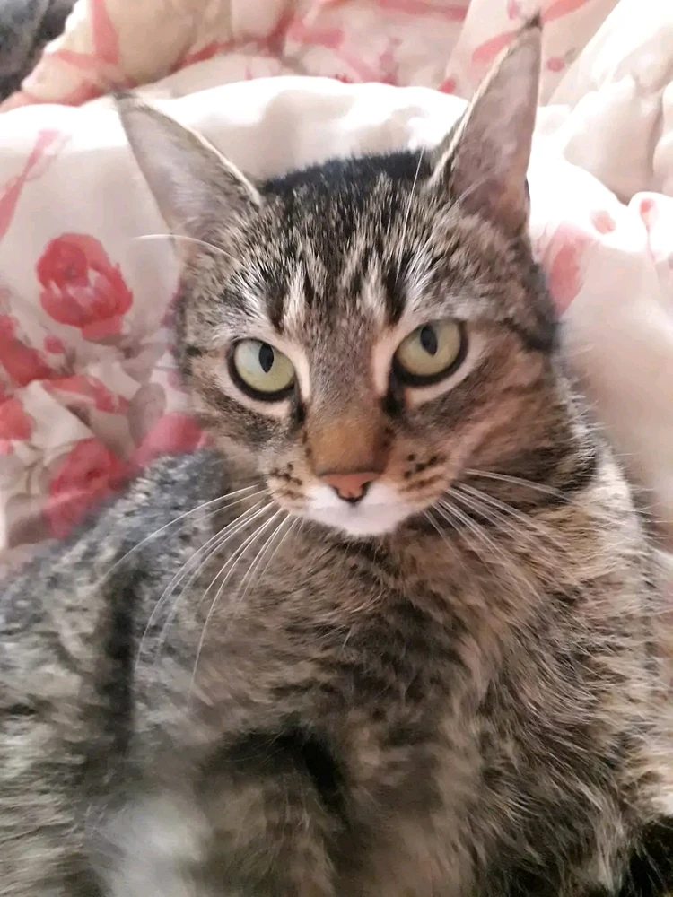 GIF otpremio/la Ika Beba