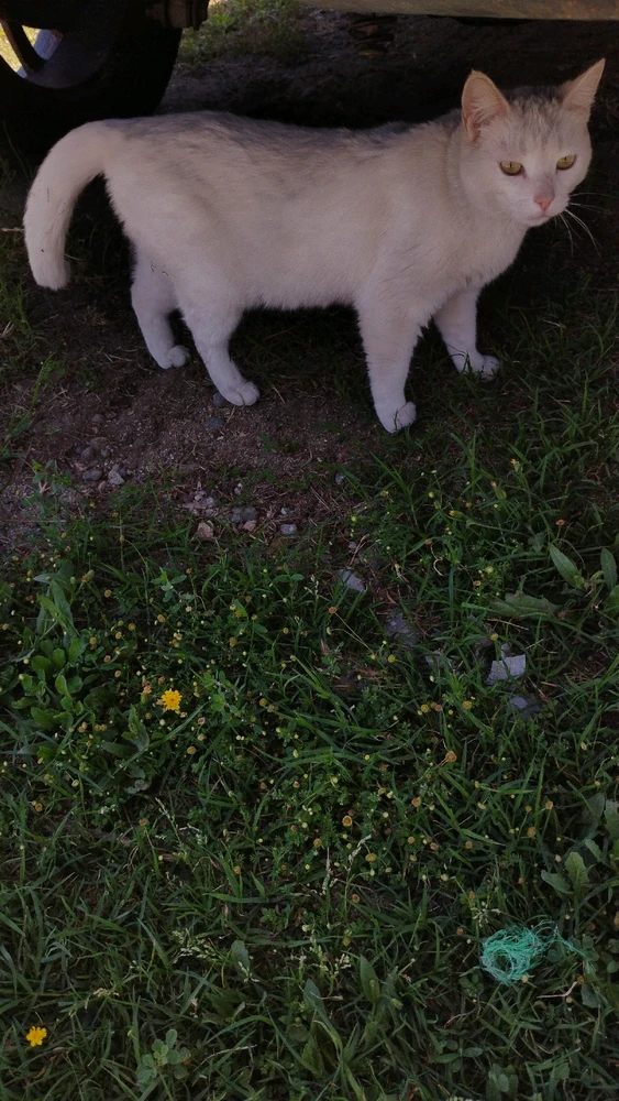 GIF uploaded by Crissy