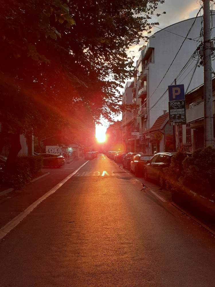 Image uploaded by Vladimir