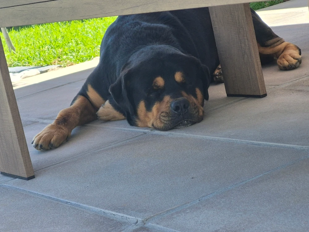 GIF uploaded by Chels