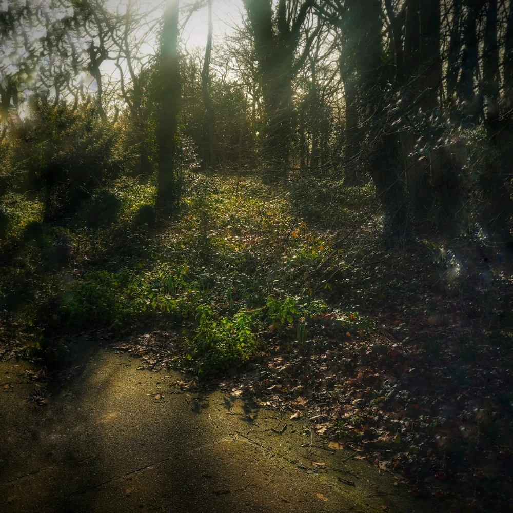 Image uploaded by Ryan