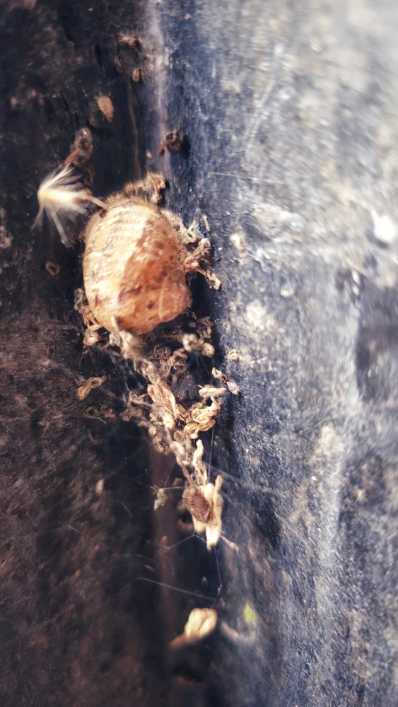 Image uploaded by Ryan