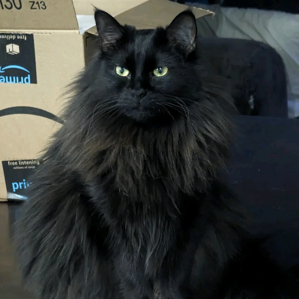 GIF uploaded by Jessica