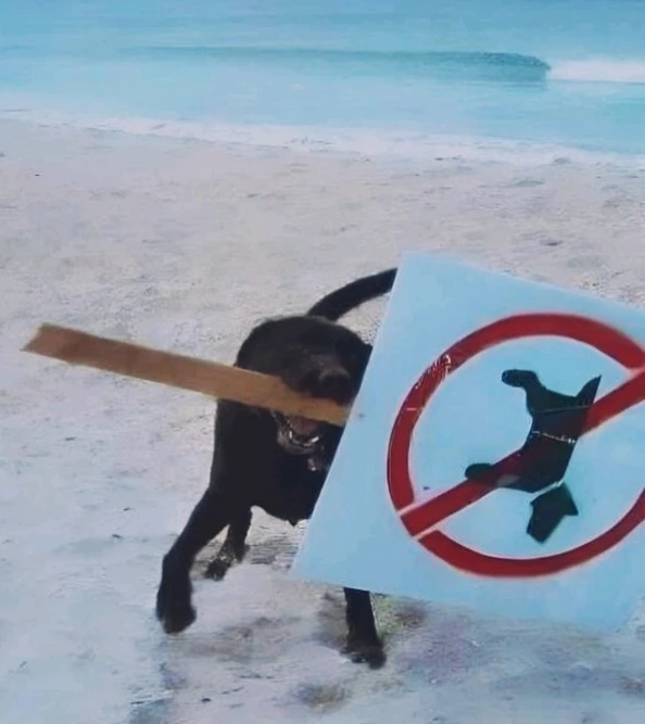 GIF enviado por O Tempo Espiral