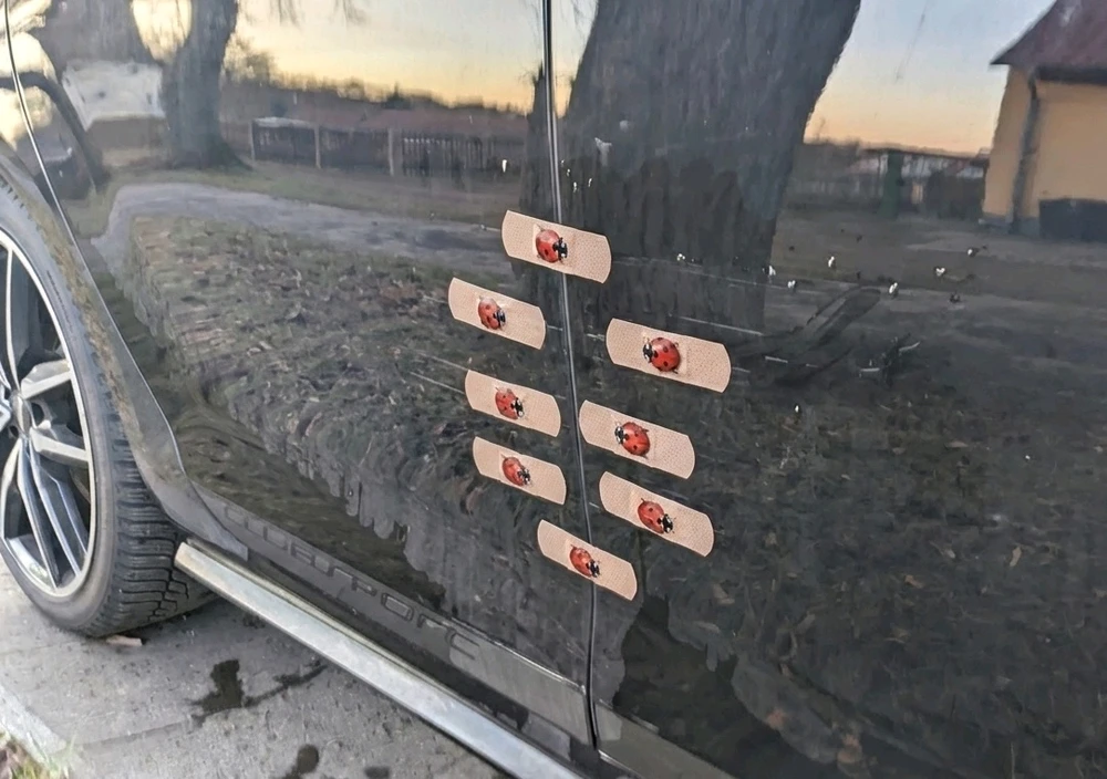 Bild hochgeladen von Stephan