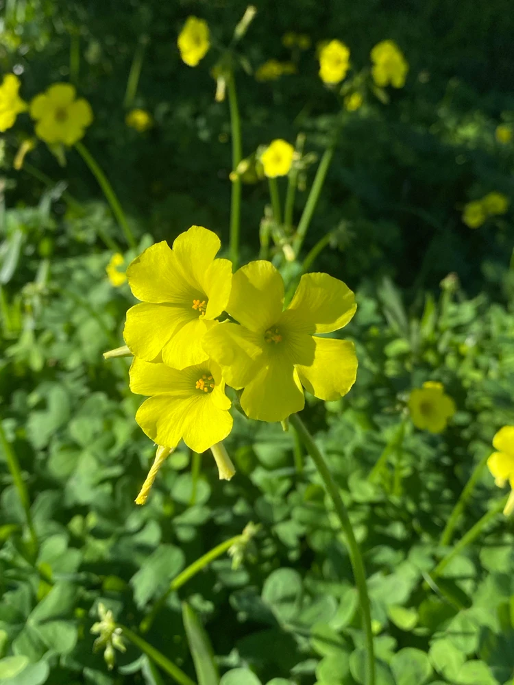 GIF uploaded by Kayla