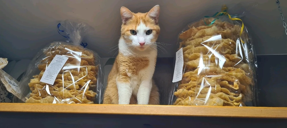 GIF uploaded by Gabrielis