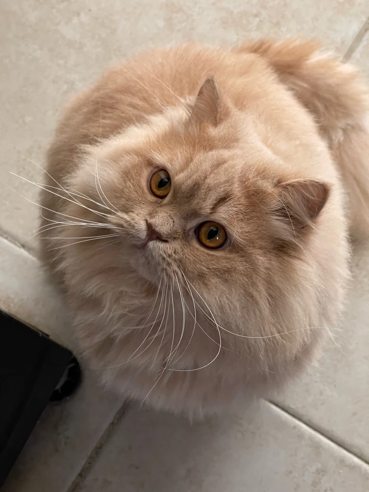 GIF uploaded by Weaam