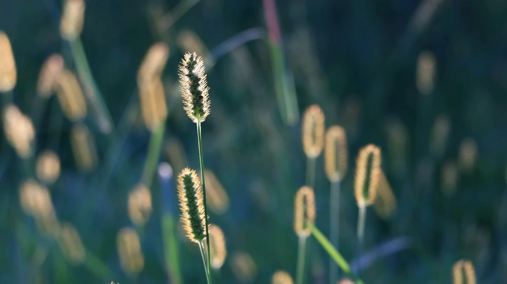 GIF uploaded by Rick