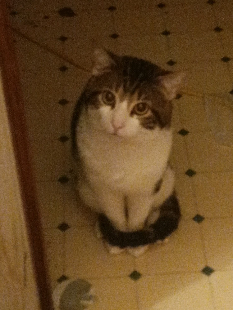 GIF uploaded by James Morrison