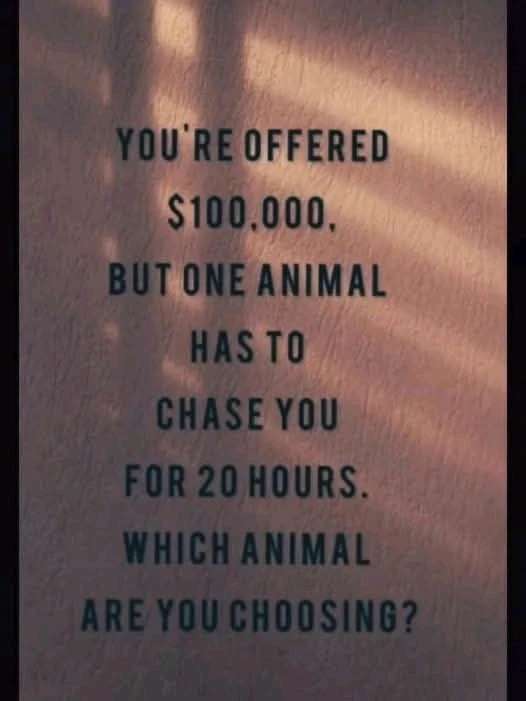 GIF uploaded by Kristmas Hill