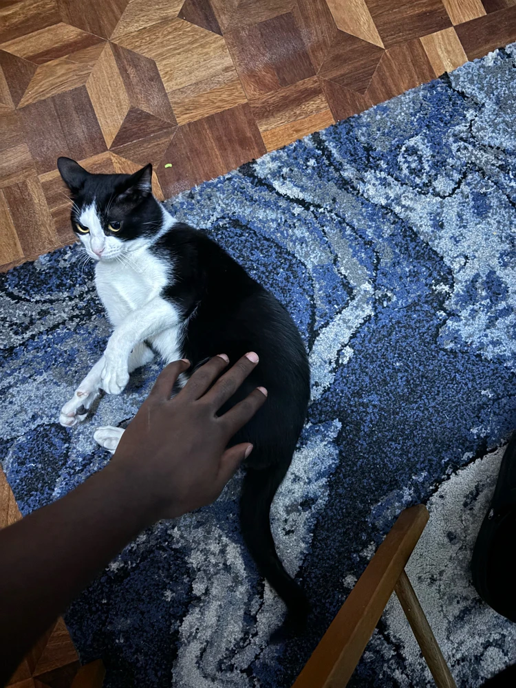 GIF uploaded by Valentine