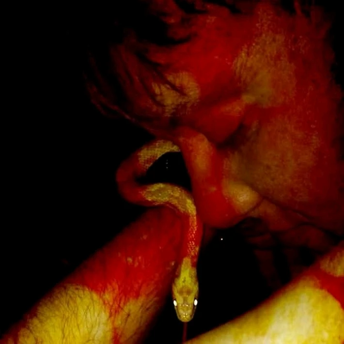 GIF uploaded by Zack