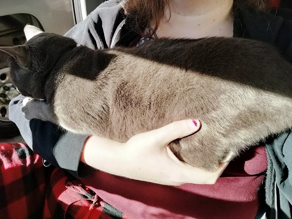 GIF uploaded by Alex