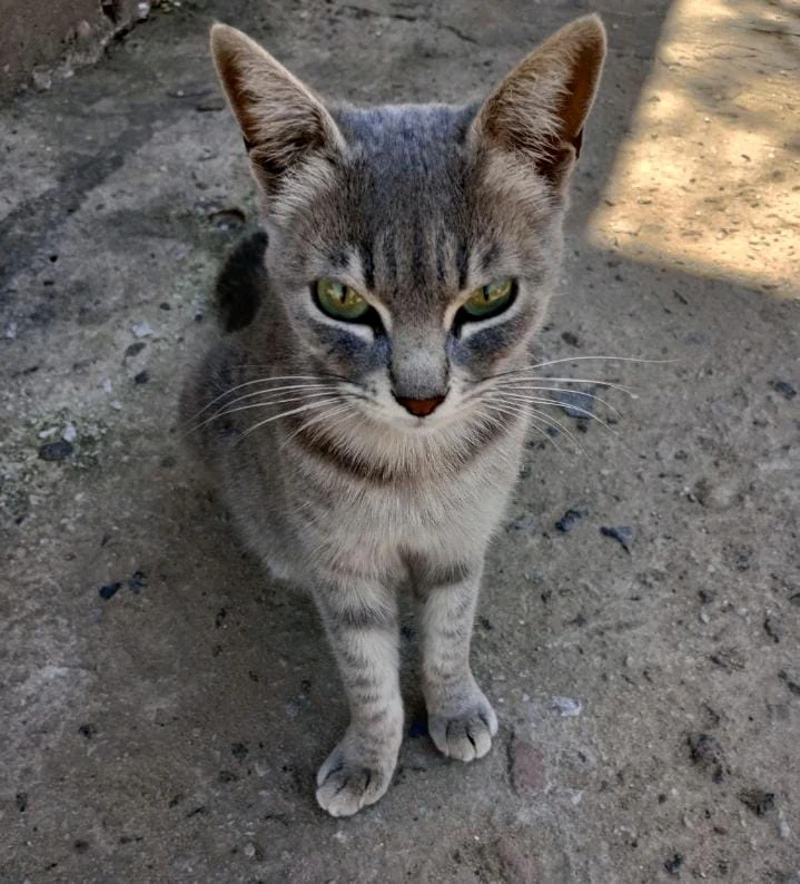 GIF subido por Yesica