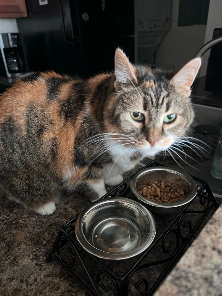 GIF uploaded by Brody