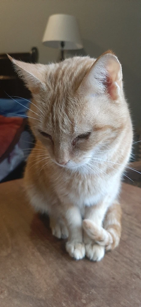 GIF uploaded by Sainy