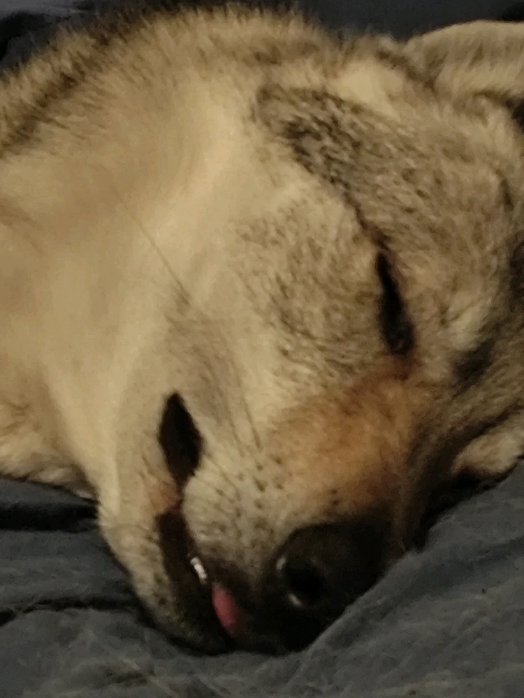 GIF ajouté par Franck