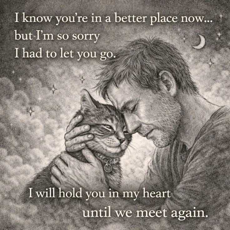 GIF uploaded by Wael omar