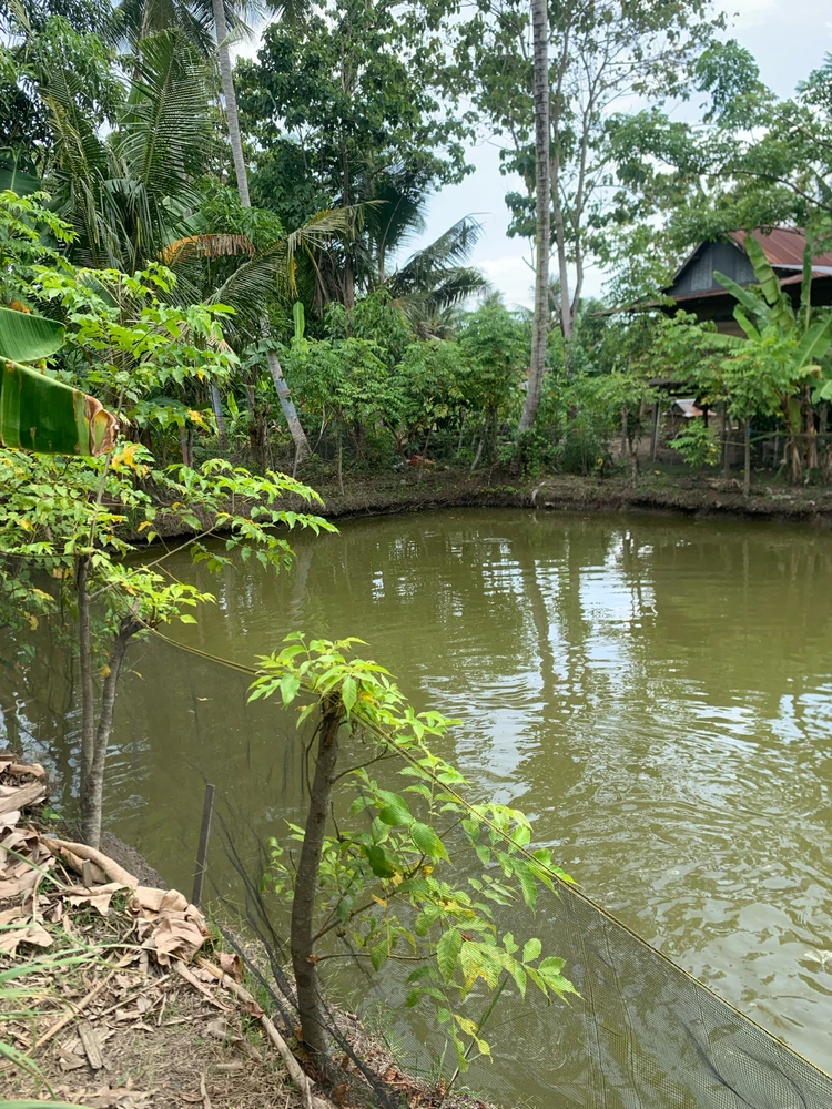 GIF uploaded by Irsa Basr