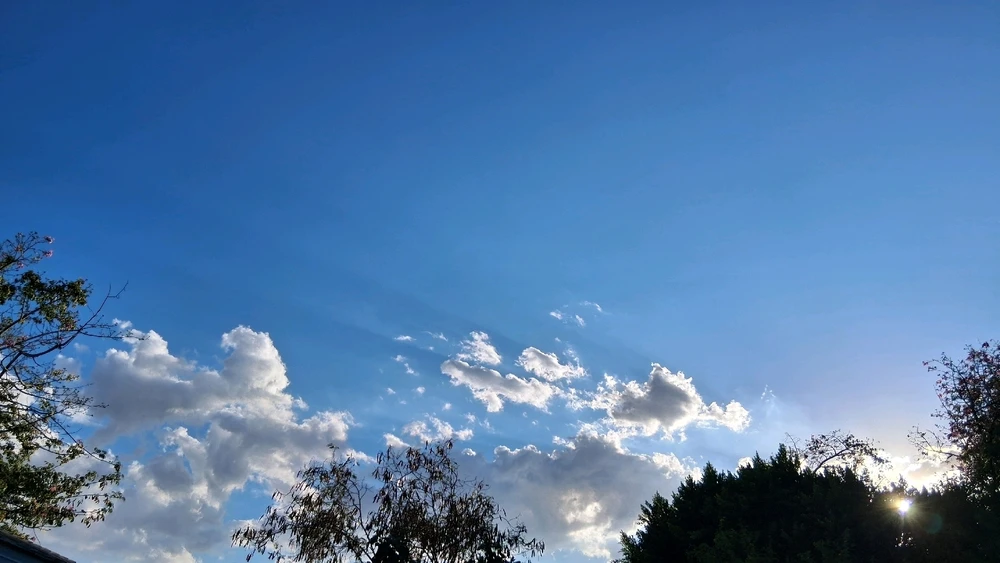 GIF uploaded by Crissy