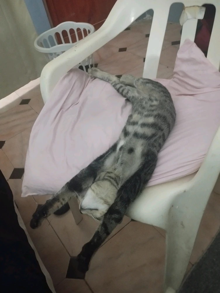 GIF uploaded by Jake