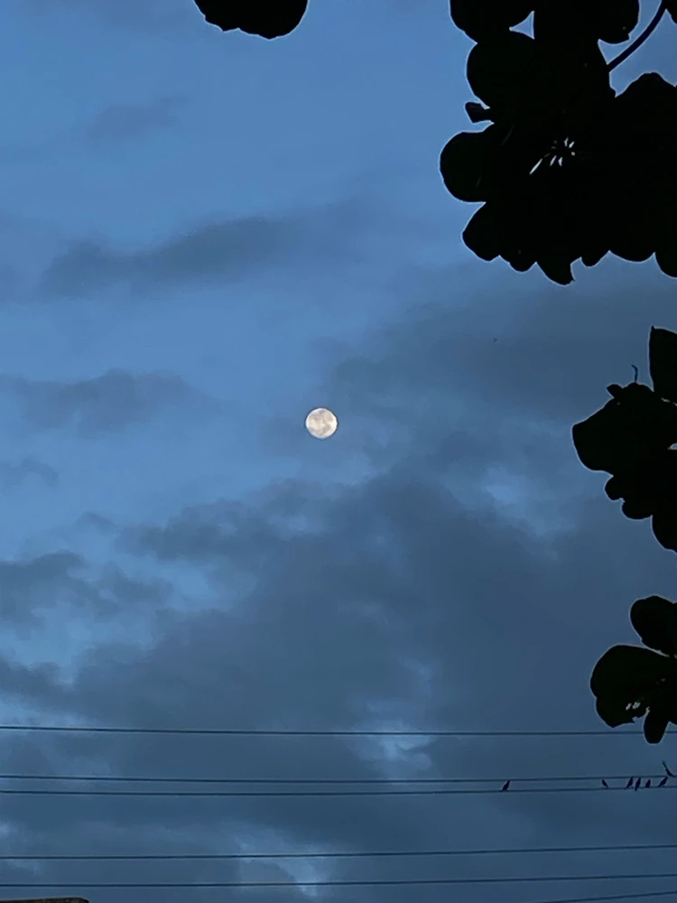 Image uploaded by Val