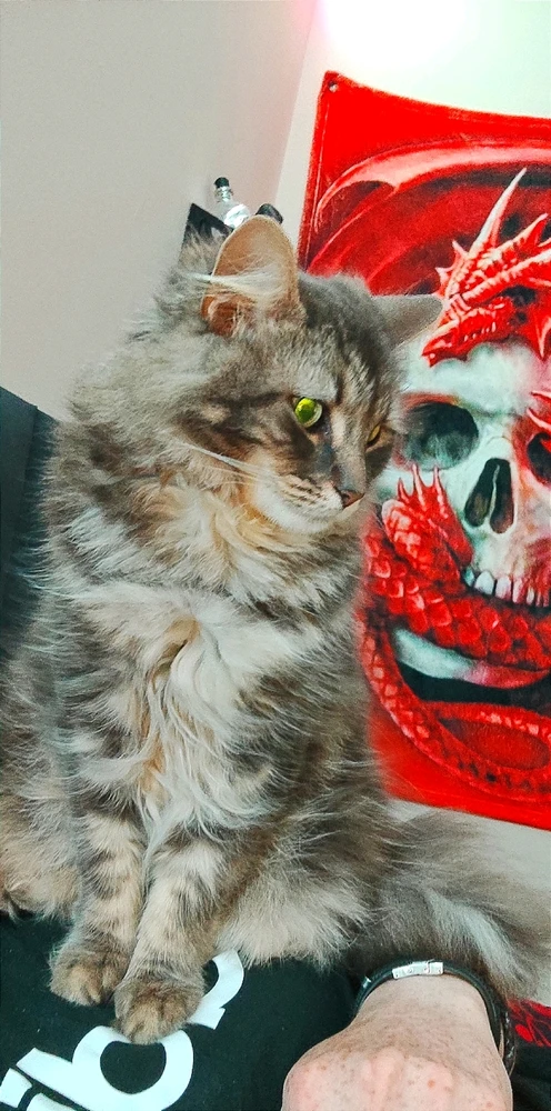 Image uploaded by Andy