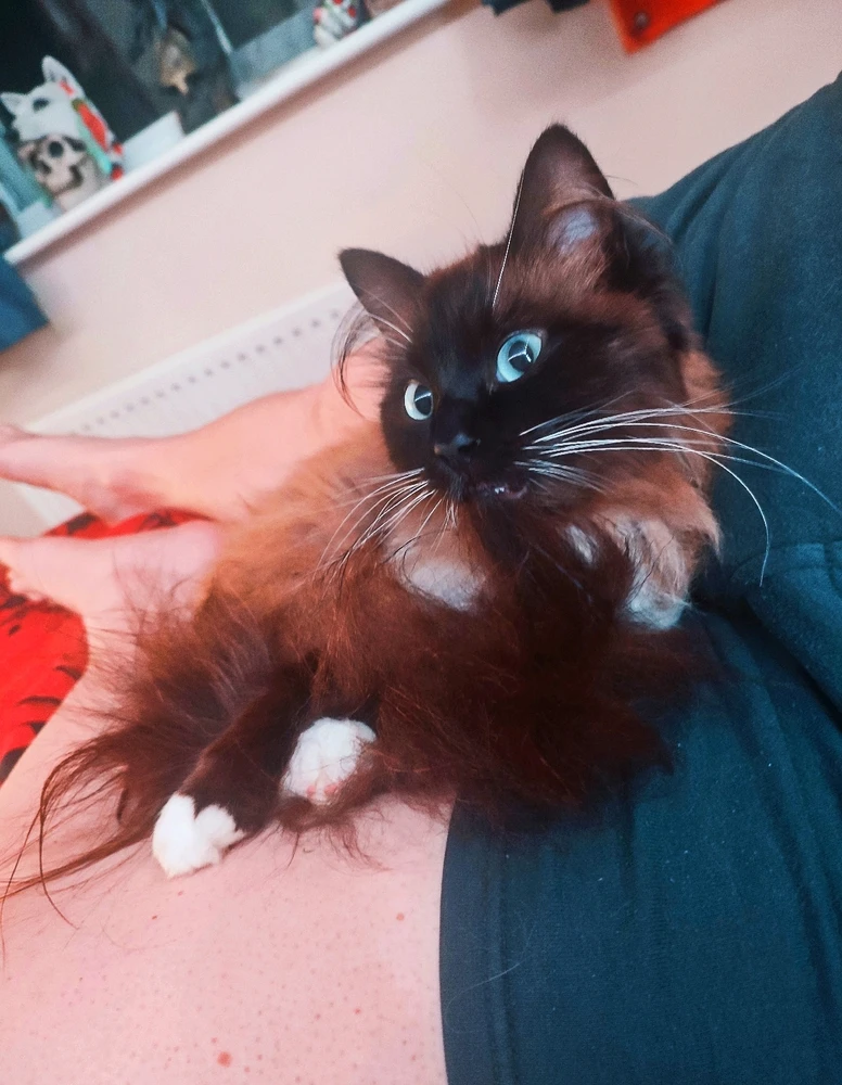 Image uploaded by Andy