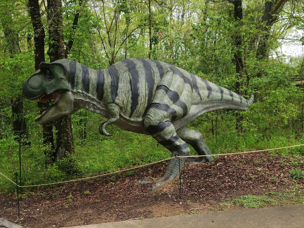 Image uploaded by Mike