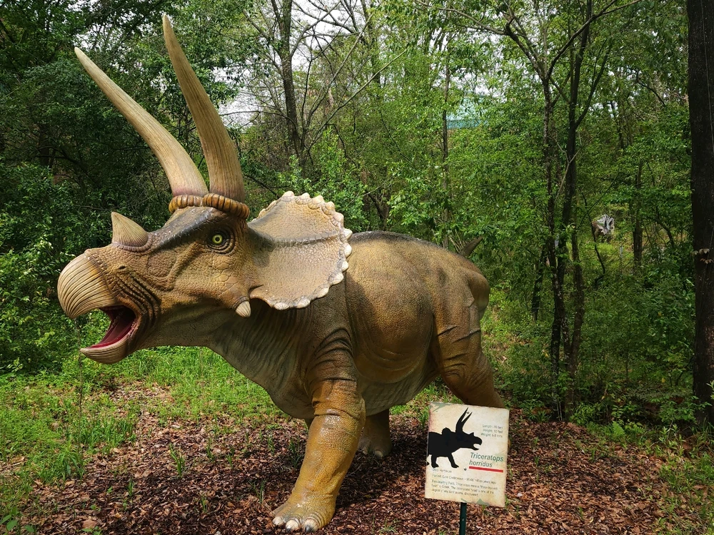 Image uploaded by Mike