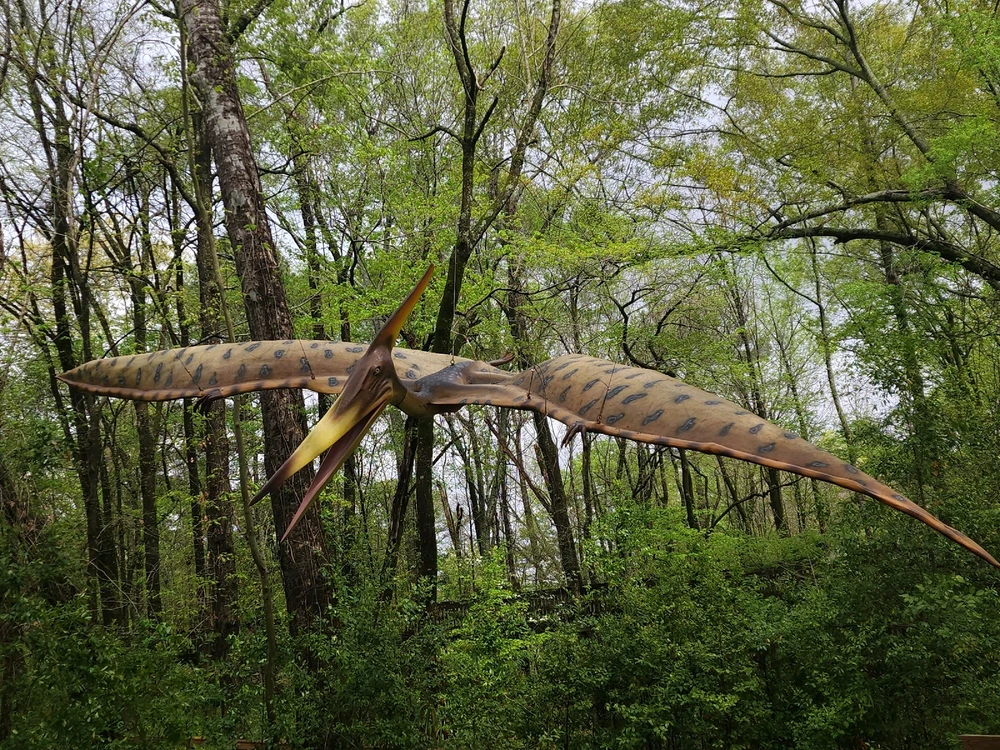 Image uploaded by Mike